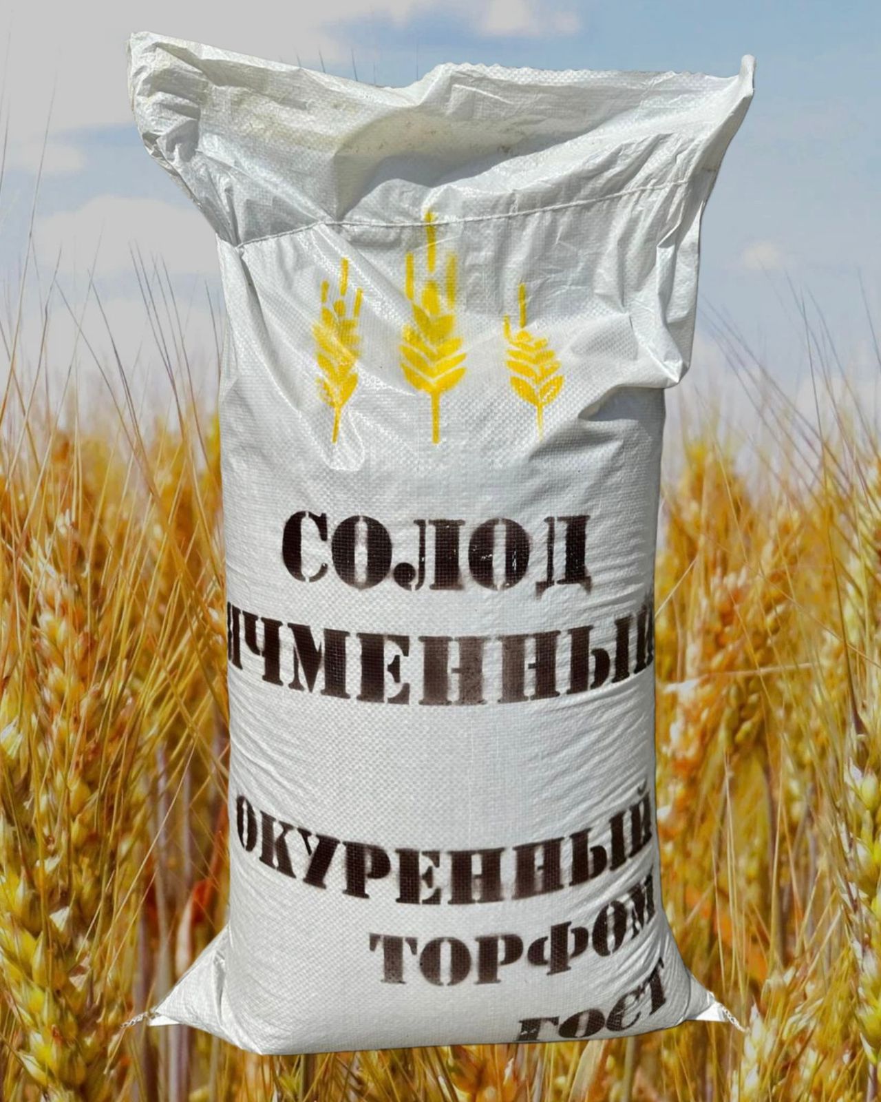 Солод окуренный торфом "Glen Sеym Malt", мешок 25 кг.