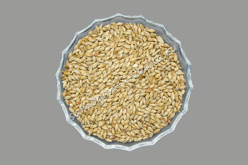 Солод ржаной неферментированный 