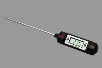 Термометр автономный цифровой WT-1 1
